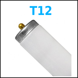 T12 Fluorescent Lamps 4 foot 8 foot case quantity