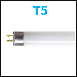 T5 Fluorescent Lamps 2', 3', or 4 foot