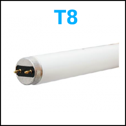 T8 Fluorescent Lamps 2 pin 4 foot 8 foot