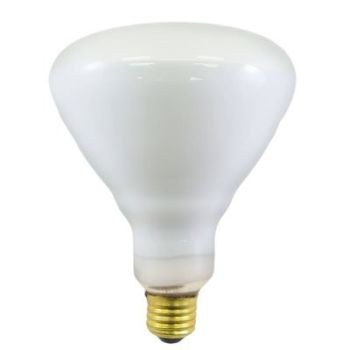 120BR40/FL 120W 130V Incandescent BR40 Reflector Flood Light