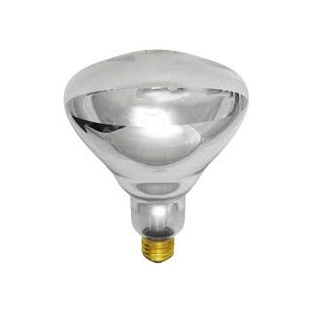 250R40/CL TEFLON 250W R40 Incandescent