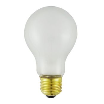 100A19/FR 100 Watt 120 Volt A19 Medium Screw (E26) Incandescent