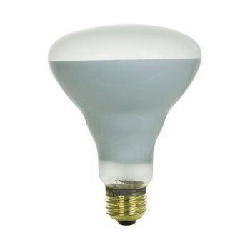 65BR30/FL 120V 5000 Hour 65W Incandescent BR30 Flood