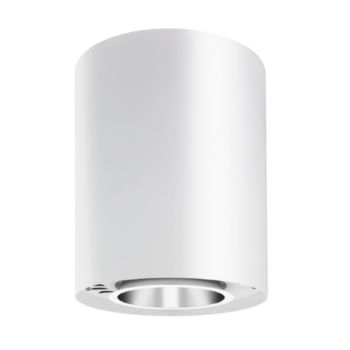 Acuity Brands LDN8CYL 35/120 LO8AR LSS MVOLT EZ1 ACC DBL 8" Cylinder 148W