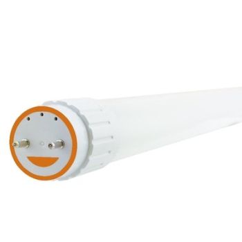 Green Creative 97843 8T8/2F/840/DIR Type A 2' 8W DIRect LED T8 Case/10