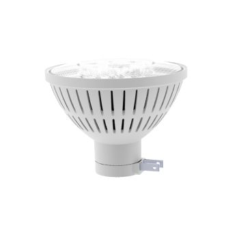 200 Watt PAR46 - 17W LED PAR38 Retrofit for PAR 46 Side Prong Lamps