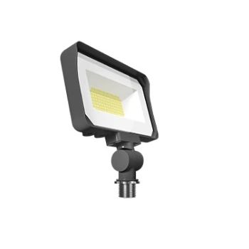 RAB Lighting X34S/RGB 30W LightCloud Blue RGBW Bronze LED Flood 2200K-6500K
