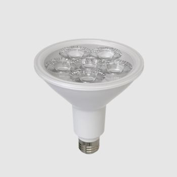 RAB Lighting PAR38/RGB LightCloud Blue RGBW Dimmable LED PAR38 14.5W 50°