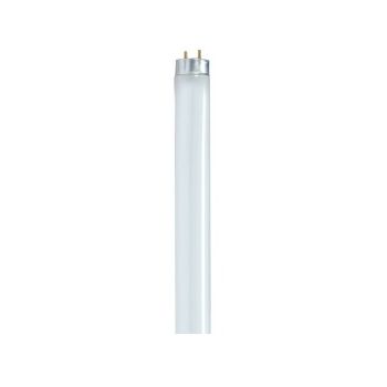 Satco F32T8/830/ENV S8418 4' 32W 3000K Fluorescent T8 30/Case