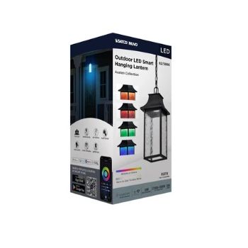 Satco Starfish 62-5996 Austen River Smart Outdoor Hanging Lantern Black w/ Clear Glass