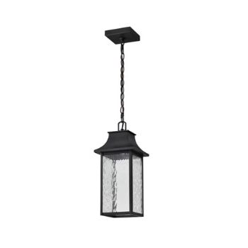 Satco Starfish 62-5996 Austen River Smart Outdoor Hanging Lantern Black w/ Clear Glass