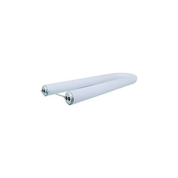 Satco Y24004 T12 Fluorescent Ubend 6" Leg Spacing - Cool White - Case/12