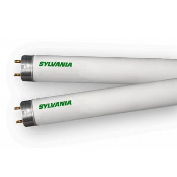 Osram 21871 F017/950/24" Sylvania Octron 950 Fluorescent T8 2' 30/Case