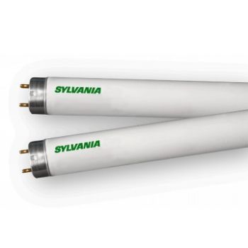 Sylvania 22140 FO25/841/ECO 3' 4100K 25W Fluorescent T8 Case/30