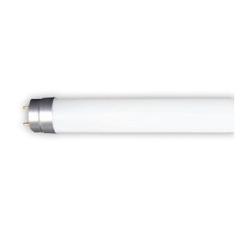 TCP LT812C50K Type C 4' LED T8 $6.83 12W 5000K 25/Case