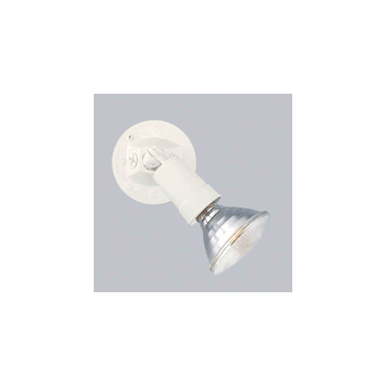 Q250PAR/FL Quartzline Halogen LED Retrofit 28W LED - 1/Ea