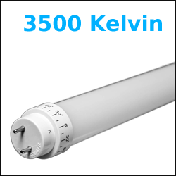 4 ft LED T8 3500K Temperature