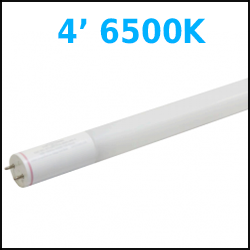 4 ft LED T8 6500K Temperature