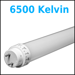 4 ft LED T8 6500K Temperature